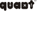 Quant Mid Cap Fund Direct (G)